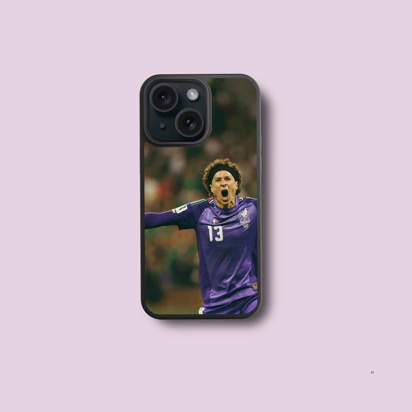 Ochoa Case